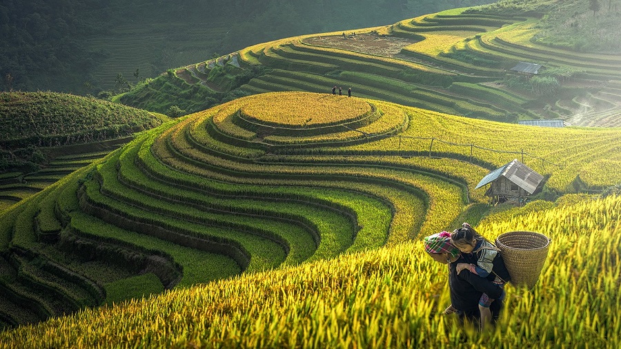 Excelencia de Vietnam en 13 días