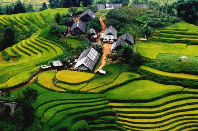 Y Linh Ho - Sapa