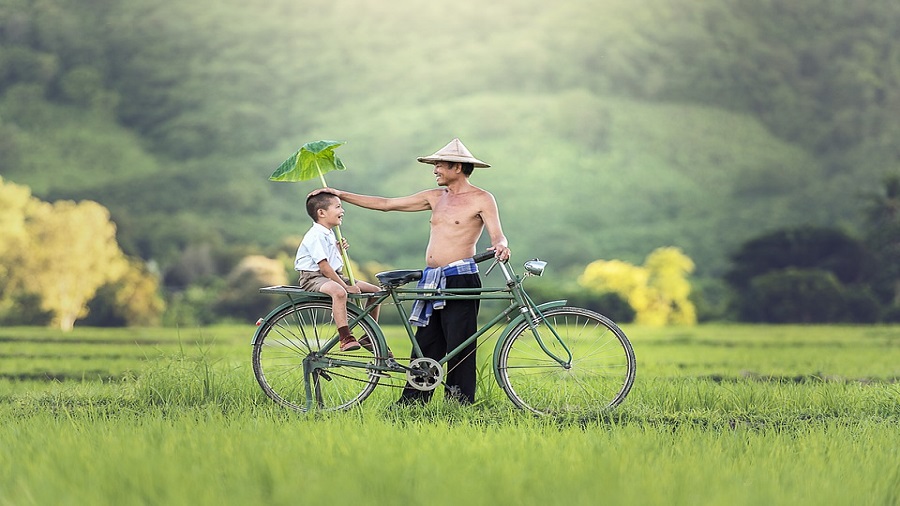 Encantos de Vietnam y Camboya 10 Días