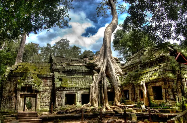 Siem Reap - Ta Prohm