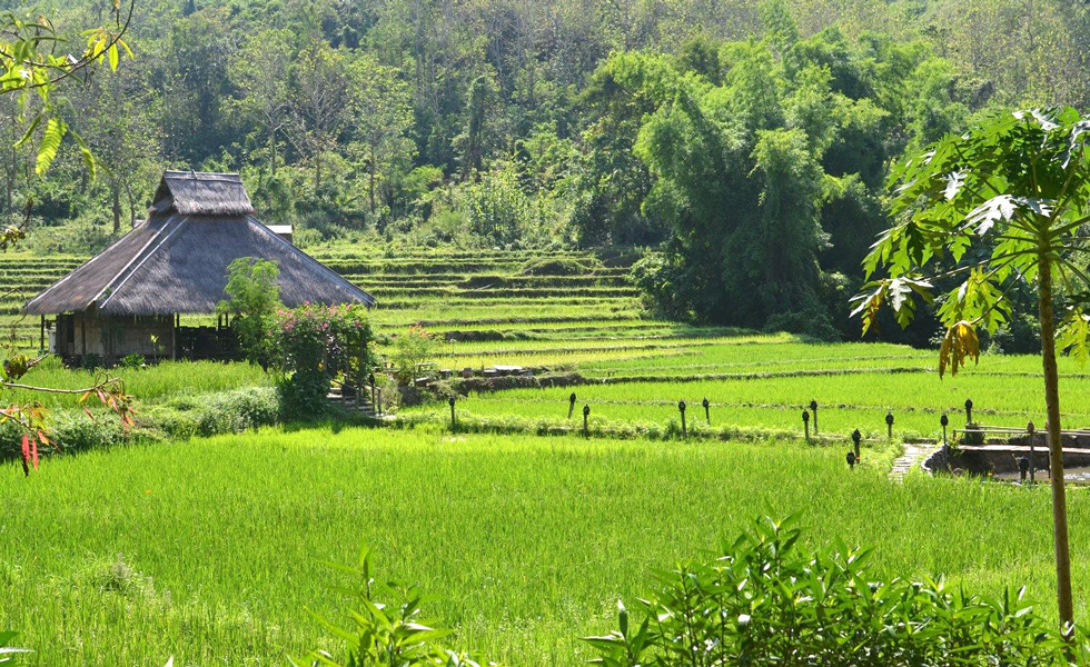 Luang Prabang y Kamu Lodge en 6 días