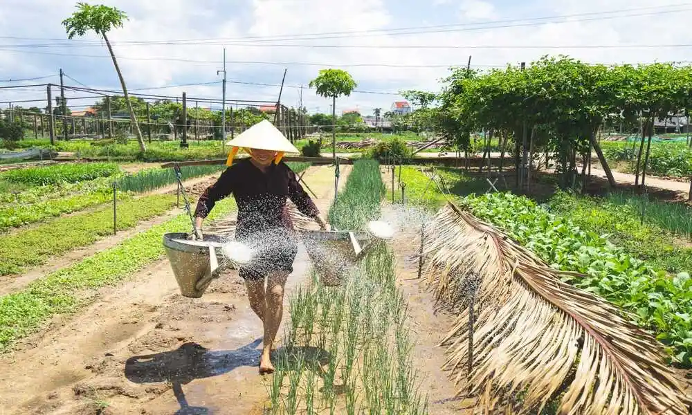 Aldea de Verduras Tra Que