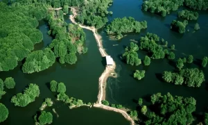 Área ecoturística de Can Gio