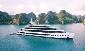 Elite of the Seas Cruise