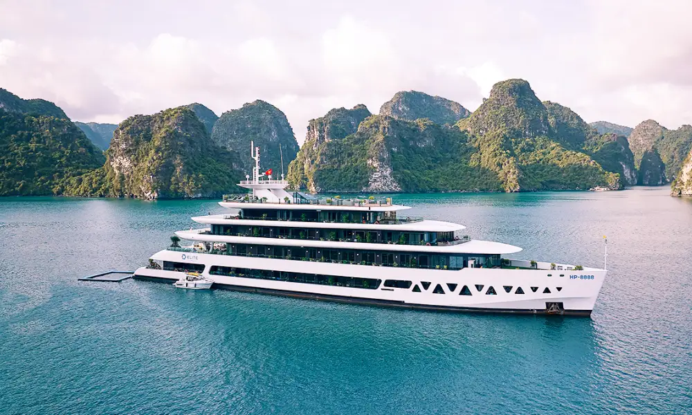 Elite of the Seas Cruise