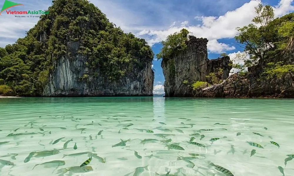 Isla Hong