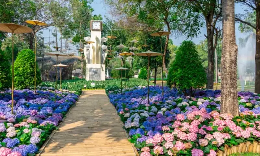 Parque en el tiempo de Festival de las Flores