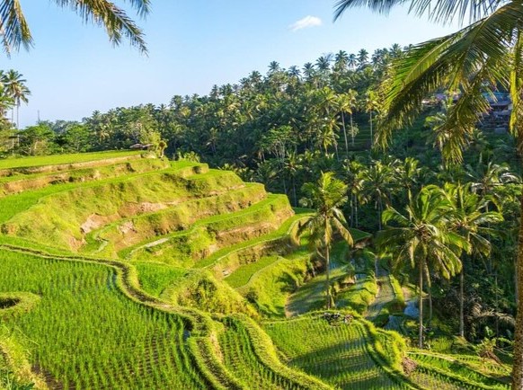 Viaje extraordinario de 9 días a Bali