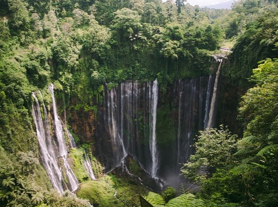 Vacación de 20 días a Indonesia