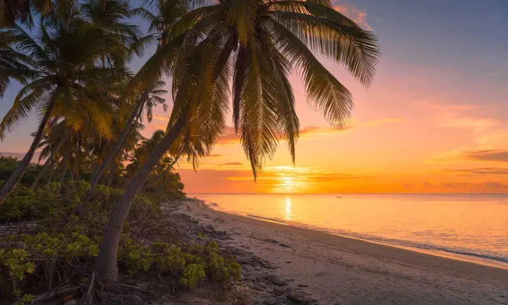 Disfrutar del amanecer