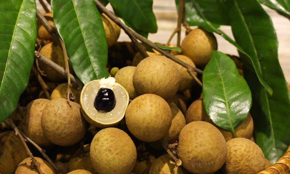 Longan