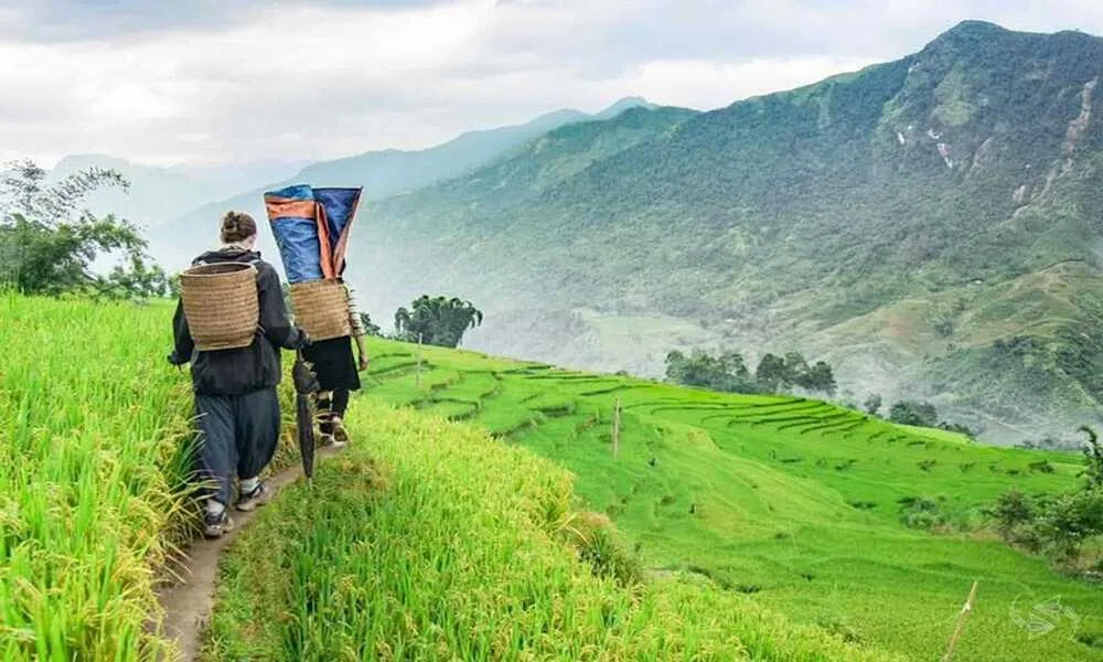 El camino para hacer trekking