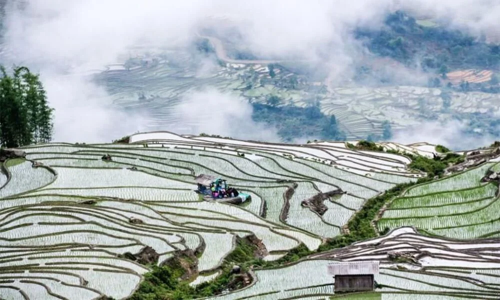 El tiempo en Sapa