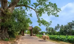 Pueblo antiguo de Duong Lam