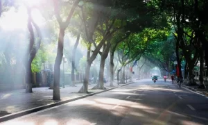 Tranquilidad se aparece en la vida urbana