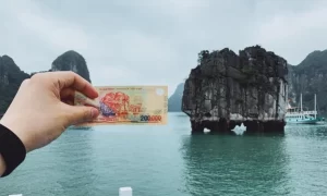 Imágenes impresas en los billetes se basan en imágenes reales de Vietnam
