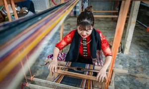 Participa en las clases de tejido